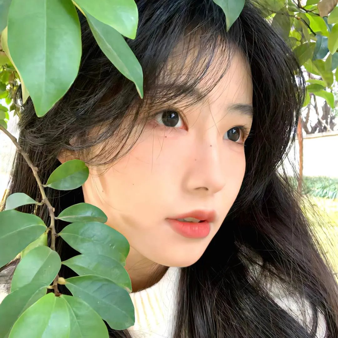 德洛丽丝